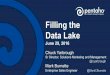 Filling the Data Lake