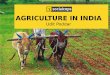 Data-Driven Decision Making For Indian Agriculture
