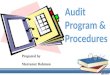Presentation 3 - Audit Program & Procedure
