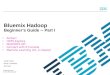 Bluemix hadoop beginners Guide part I