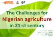 The Challenges for Nigerian agriculture in 21-st century