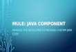 Mule: Java Component
