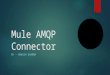 Mule AMQP Connector