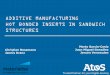 ECSSMET2016_ADDITIVE MANUFACTURING HOT BONDED INSERTS IN SANDWICH STRUCTURES