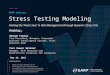 Stress Testing Modeling: Finding the ‘Fault Lines’ in Risk Management through Dynamic Stress Test Modeling