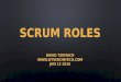 Agile scrum roles