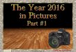 The Year 2016 in Pictures Part #1