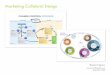 Change Control Process and Software lifecycle Infographics