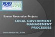 Local Government Management Processes