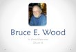 Bruce E Wood Visual Resume 22June15