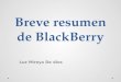 Breve resumen de black berry