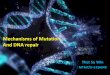 Mutation and DNA repair