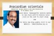 Anacardium orientale HOMOEOPATHIC MATERIA MEDICA SLIDE SHOW PRESENTATION BY DR.HANSRAJ SALVE