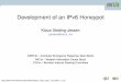 Development of an IPv6 Honeypot