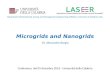 Microgrids and nanogrids - alessandro.burgio@unical.it