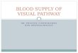 BLOOD SUPPLY OF VISUAL PATHWAY