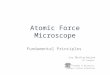 Atomic Force Microscope: Fundamental Principles