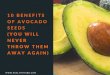 Top 10 Benefits of Avocado Seeds (You will never throw them away again)