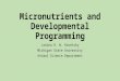 Micronutrients and Developmental Programming