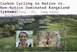 Carbon Cycling in Native vs. Non-Native Dominated Rangeland Systems