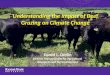 Understanding the Impact of Beef Grazing on Climate Change