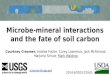 Microbe-mineral interactions and the fate of soil carbon