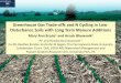 Greenhouse gas trade-offs and N cycling in low-disturbance soils with long term manure additions