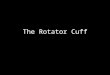 Slideshow: Rotator Cuff