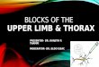 Regional Blocks of the Upper Limb and Thorax RRT