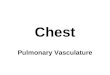 Diagnostic Imaging of Pulmonary Vasculature