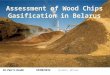 Feasibility study: Wood gasification power plant in Belarus (2012)