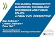 The Global Productivity Slowdown, Technology Diffusion and Public Policy