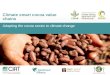 Climate smart cocoa value chains