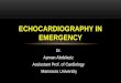 Echocardiography in cardiac emergency