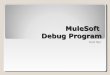 Mule soft debug program