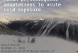 Human adaptation to cold exposure