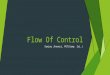 Flow of control by deepak lakhlan