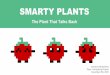 Smarty Plants