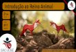 2EM #17 Intro Reino Animal (2016)