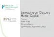 Leveraging our Diaspora Human Capital