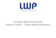 Lumsdon Wood Partnership Motor retail profile