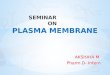 Seminar on Plasma membrane.pptx