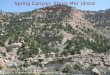LGC field course in the Book Cliffs, UT: Presentation 6 of 14 (Spring Canyon - Storrs Member)