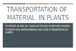 Transportation of Food,Minerals & Water in Plants
