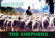Church Sermon: The Shepherd Connection