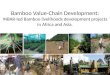 Bamboo Value-Chain Development:INBAR-led Bamboo livelihoods development projects in Africa and Asia