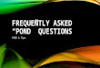 Ponds- Frequently asked Questions(FAQ)