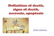 Definition of Death, Signs of Death, Necrosis and Apoptosis