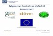 National Assessment of the Myanmar Clean Cookstoves Market