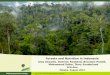 Forests and Nutrition in Indonesia